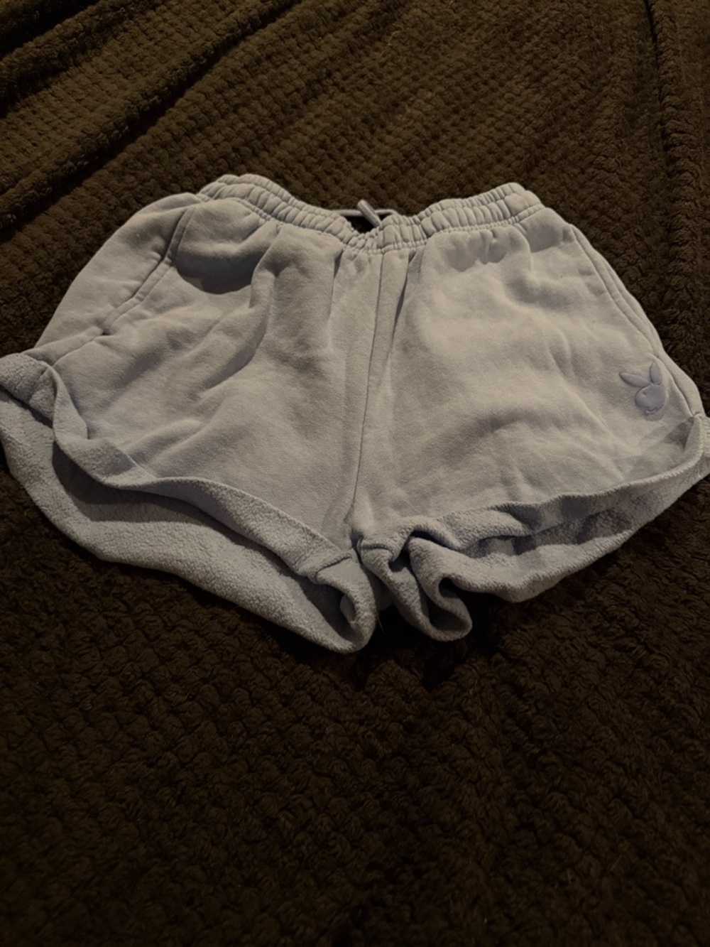 PacSun Light Blue Fleece Athletic Shorts